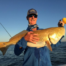 Bull Sanibel Redfish
