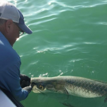 Capt Paul Sanibel Tarpon Release