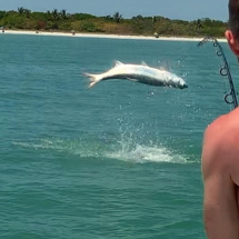 Sanibel &amp; Captiva Island Tarpon Jumping Capt Pauls Sanibel &amp; Captiva Charters