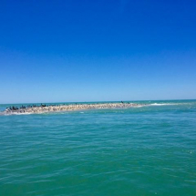 Redfish Pass Bar loaded with Black Skimmers and other birds