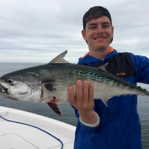 Big Bonita by Zack. Caught off of Captiva Island on a Yo-zuri