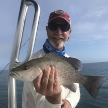 Bob's Mangrove Snapper caught off Captiva Island