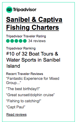 Tripadvisor Ratings
